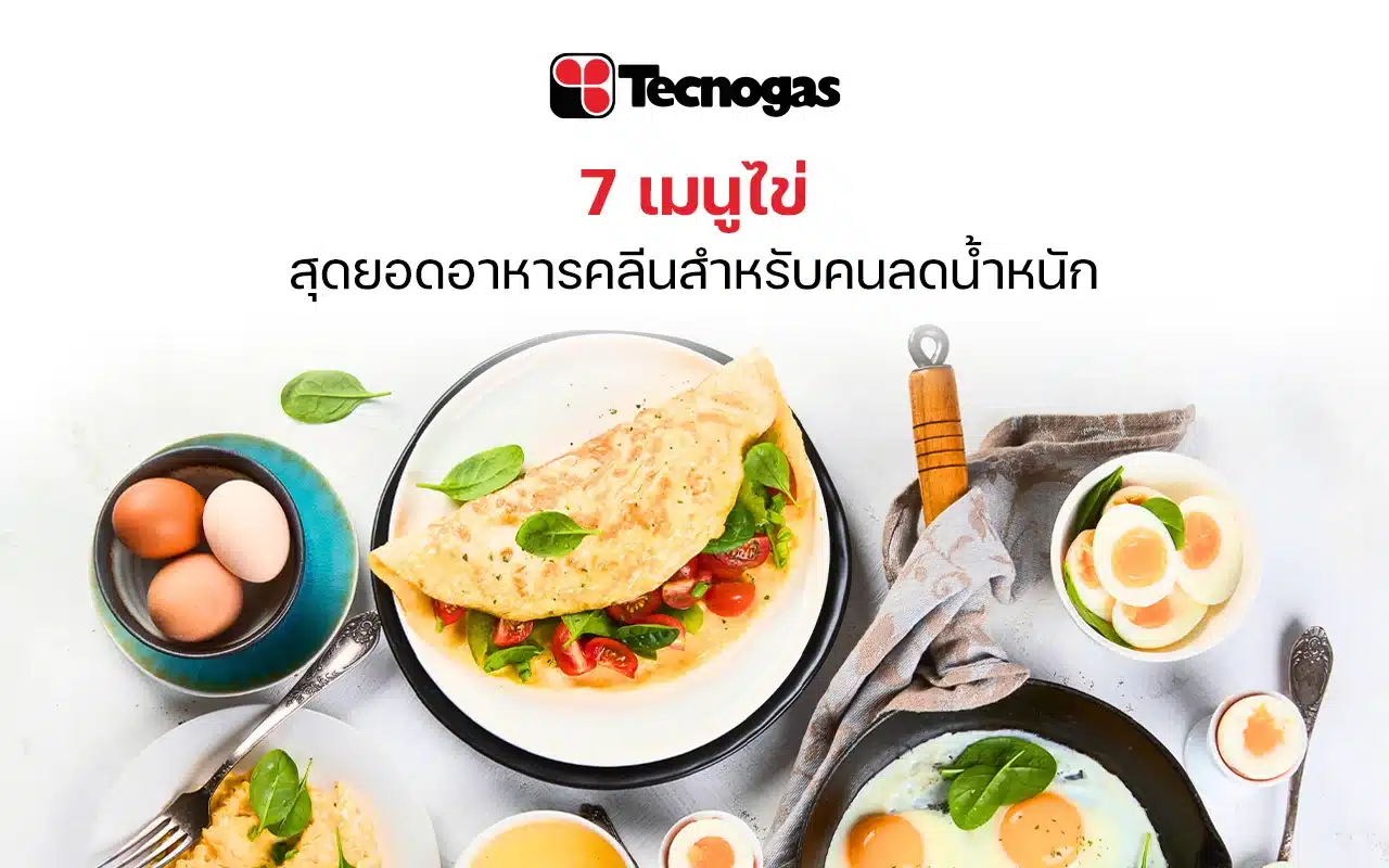 เมนูไข่ เมนูยอดฮิตเอาใจคนลดน้ำหนัก - tecnogas