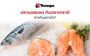 ปลาแซลมอน กับปลาเทราต์ ต่างกันอย่างไร - tecnogas