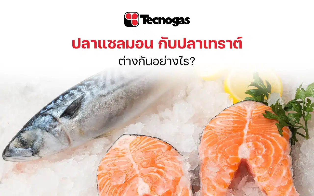 ปลาแซลมอน กับปลาเทราต์ ต่างกันอย่างไร - tecnogas