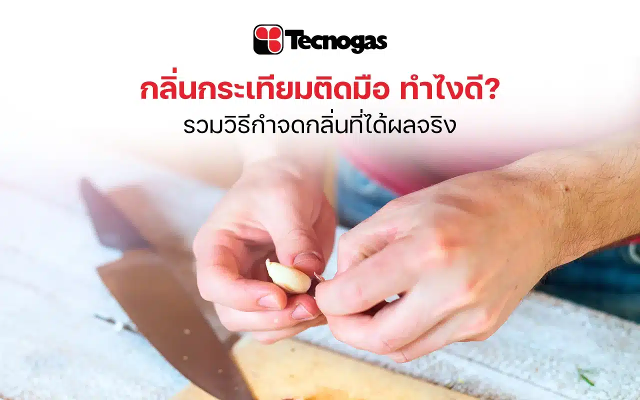 รวมวิธีกำจัดกลิ่นกระเทียมติดมือ ทำยังไงให้กลิ่นหาย - tecnogas