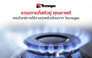 รวมเตาแก๊สหัวคู่ คุณภาพดี ตอบโจทย์การใช้งานทุกครัวเรือนจาก Tecnogas